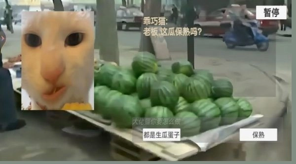 猫猫惊魂夜游戏安卓版