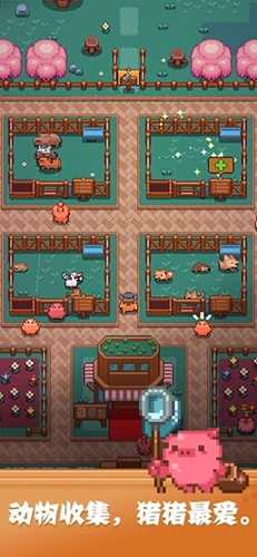 开拓猪之岛最新版图2
