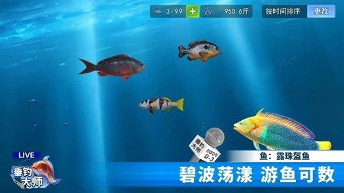 垂钓大师最新版截图3