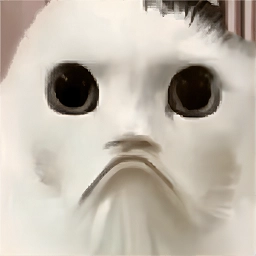 猫猫惊魂夜游戏安卓版