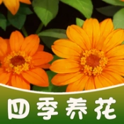 四季养花红包版