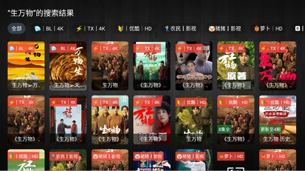 畅常看4K电视版