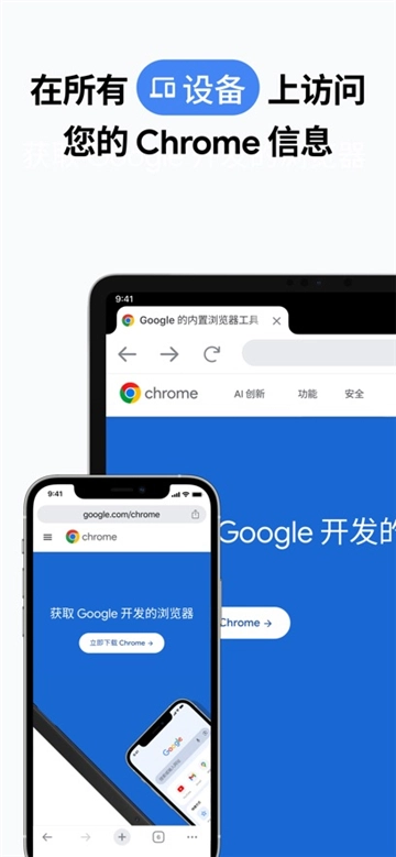 Chrome图6