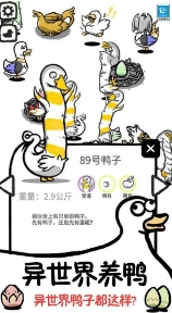 鸭了个鸭红包版图1