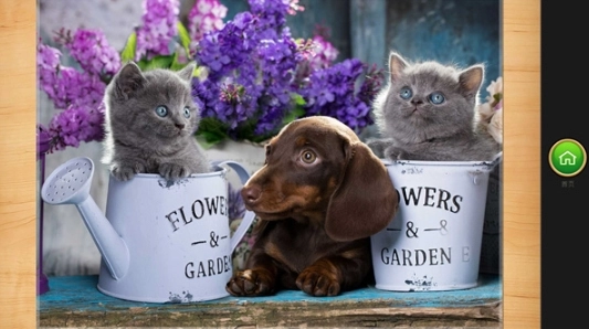 魔法拼图安卓版