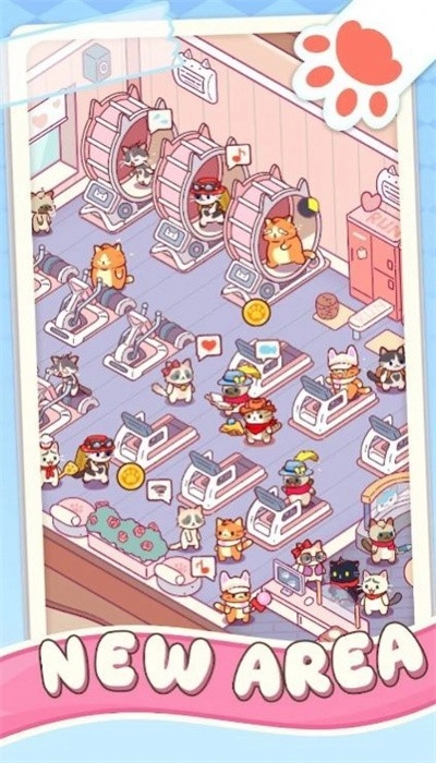 猫咪健身房手机版截图2
