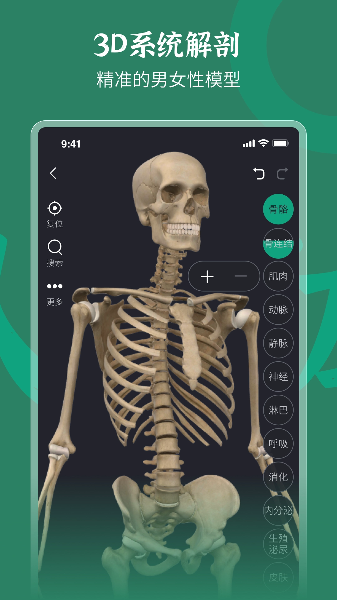 万康人体解剖图2