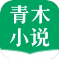 青木小说