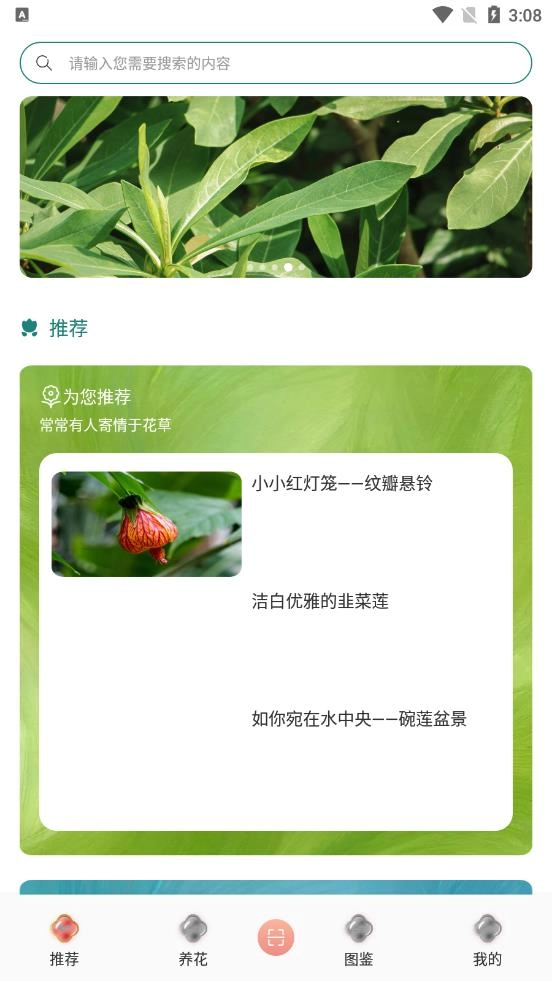 拍照识花识别植物图1