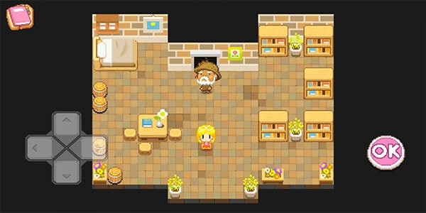 公主的农场故事汉化版图1