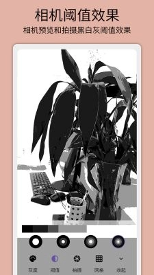 灰阈相机图3