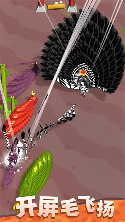 孔雀拔毛大赛(4)