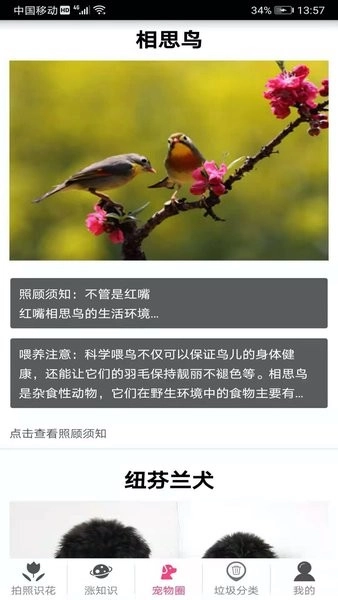 拍照识花神器软件(2)