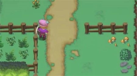 雨叶岛传说截图2