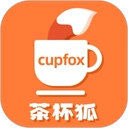 茶杯狐cupfox