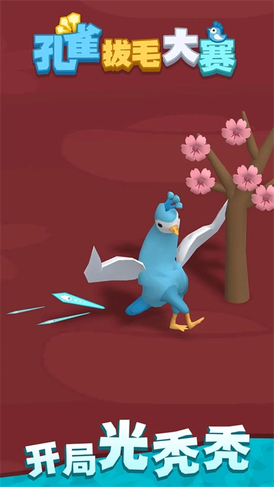 孔雀拔毛大赛(1)