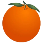 金桔社交浏览器