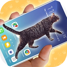 整人宠物恶作剧