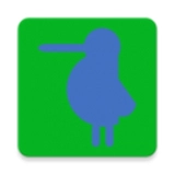 长嘴鸟ai背诵软件