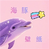 海豚壁纸