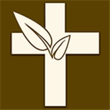 伴读圣经手机版  v1.2