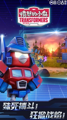 愤怒的小鸟：变形金刚(4)