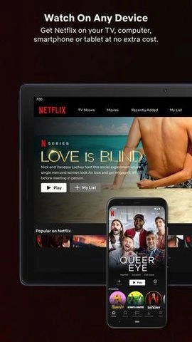 网飞netflix中文版图4