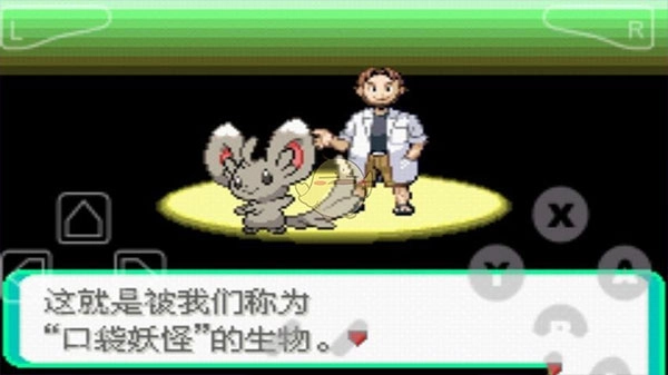 口袋妖怪漆黑的魅影最新版图3