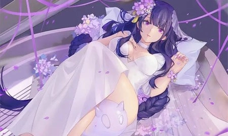 雷电将军触摸模拟器图3