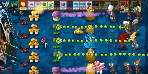 植物世界大战(1)