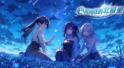 心所向往的北极星图4