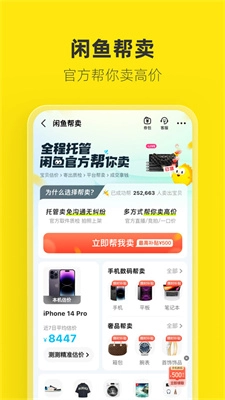 闲鱼图4