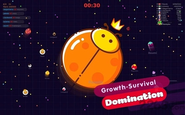 甲壳虫大作战(2)