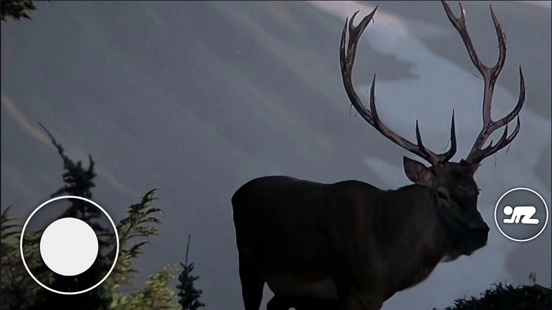 恐怖森林猎人(1)