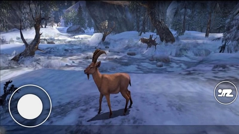 恐怖森林猎人(3)