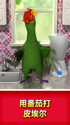 会说话的鹦鹉手机版最新版截图1