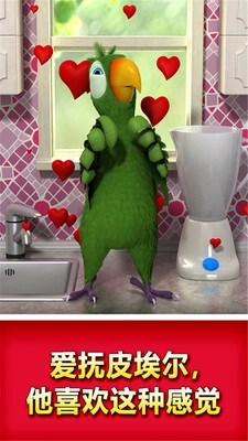 会说话的鹦鹉手机版最新版截图2