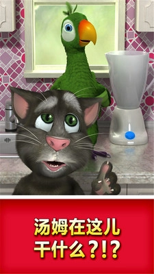 会说话的鹦鹉手机版最新版截图3