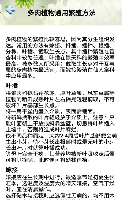 花草多肉日记图1