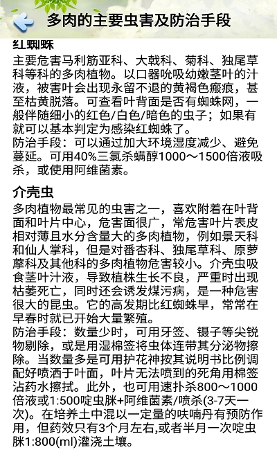 花草多肉日记图3