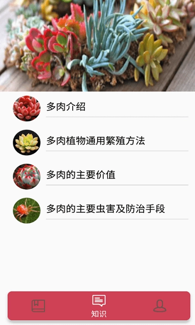 花草多肉日记图2