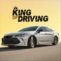驾驶之王安卓版