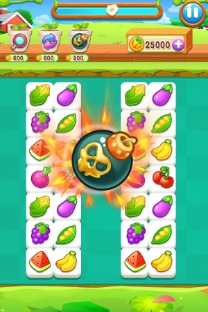 趣味果蔬连连看安卓版图3