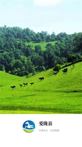 爱陇县手机版