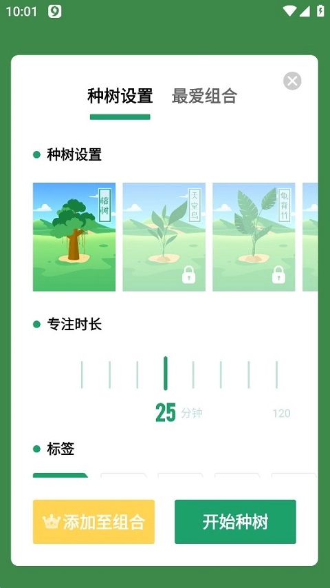 专注种树