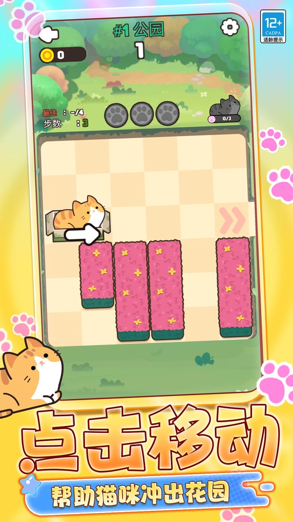 动物救援行动图2