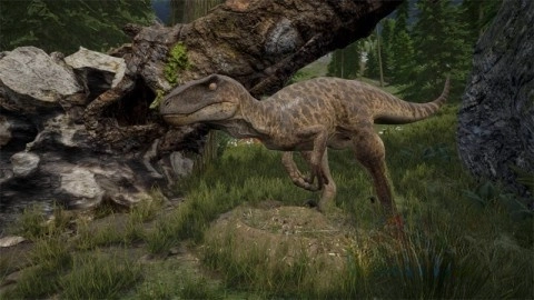 龙岛异兽阿乐同款5