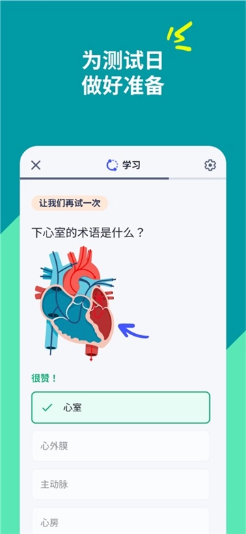 Quizlet免费版图3