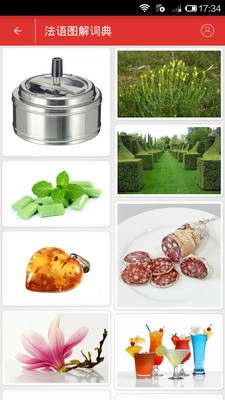 法语角安卓版图3