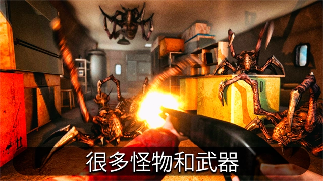 南极洲88号中文版3